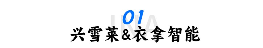 旅游宣傳清新大字公眾號(hào)文章標(biāo)題 (18).jpg